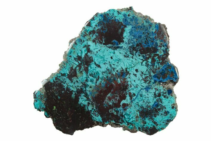 Colorful Chrysocolla and Shattuckite Slab - Mexico #240595